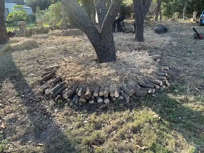 Debris & Firewood Removal in Wichita