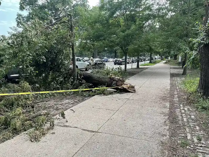 Storm Damage Cleanup in Wichita